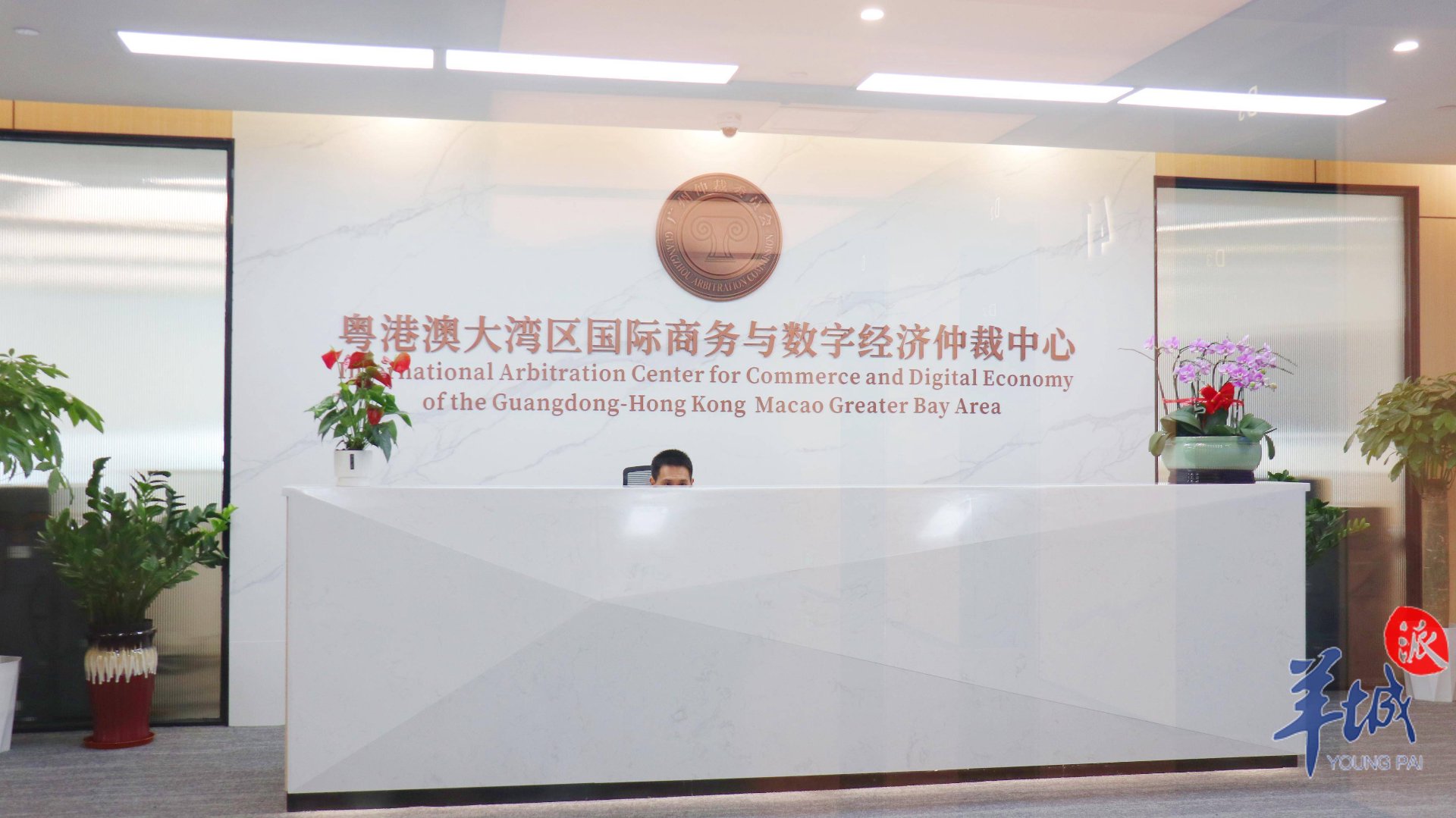 律政法务